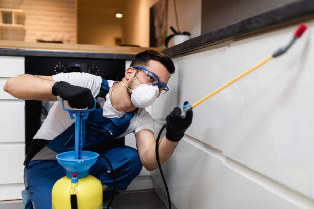 Best Ant Control Services  in Richmond, UT