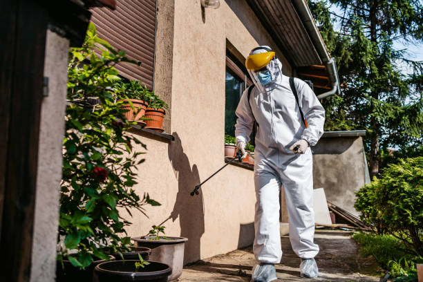Best Insect Control  in Richmond, UT