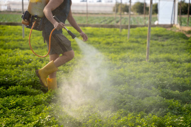 Pest Control for Restaurants in Richmond, UT