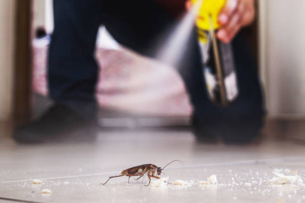 Richmond, UT Pest Control Pros