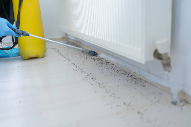 Best Pest Inspection Near Me  in Richmond, UT
