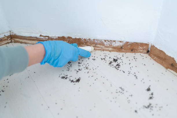Best Emergency Pest Control  in Richmond, UT